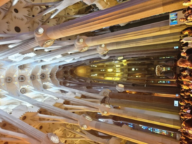 20260223_154240.jpg